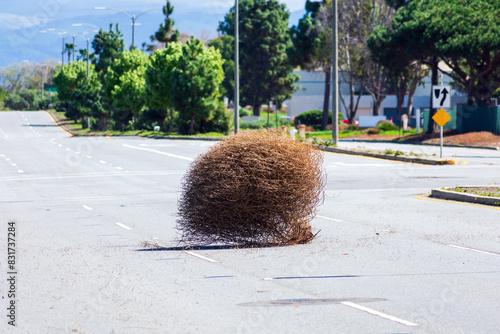 Foto Large dry tumbleweed rolls across a deserted city street on a bright, sunny day