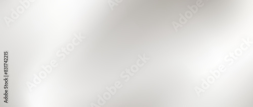 Smooth grey wavy gradient background. Soft liquid wallpaper. Silk nacre color texture for banner, flyer, presentation, graphic design. Abstract blurred wavy backdrop cover. Vector illustration