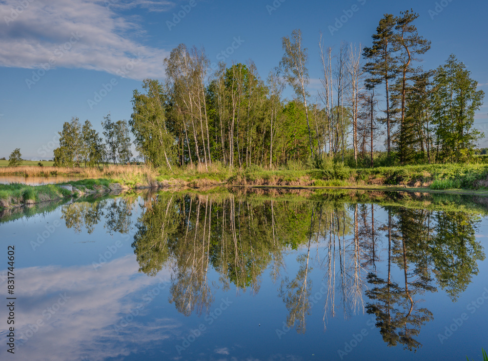 Fototapeta premium Teichlandschaften