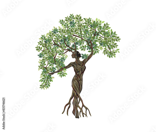 woman tree shaped, dryads vector illustrations