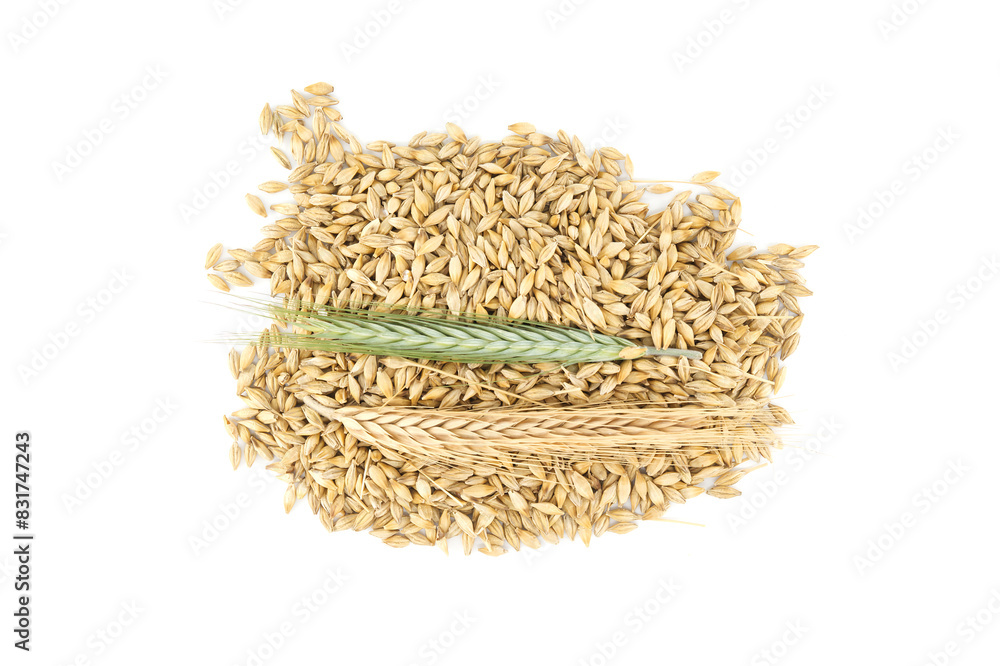 Barley seeds with the outer husk ears over white Barley seeds with the outer husk ears over white