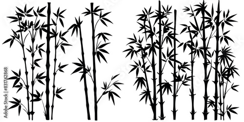 bamboos vector silhouettes white background