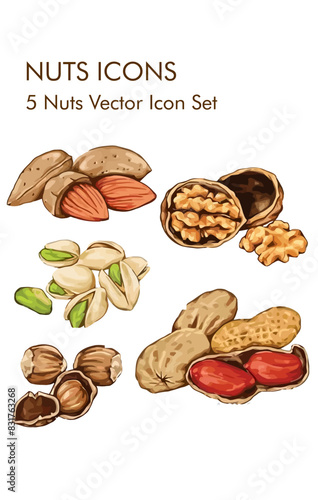 Nuts logo vector icon set 