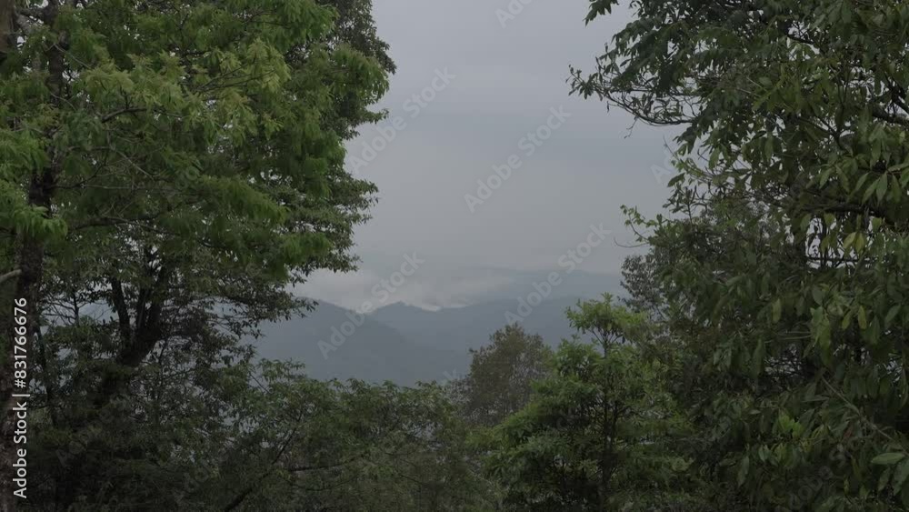 Landscape or houses and environment of people living in Nagaland, India. Landscape or houses and environment of people living in Nagaland, India.