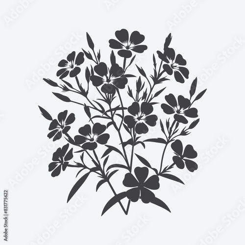 Print Ethereal Symphony, Majestic Silhouette of Creeping Phlox Blossoms