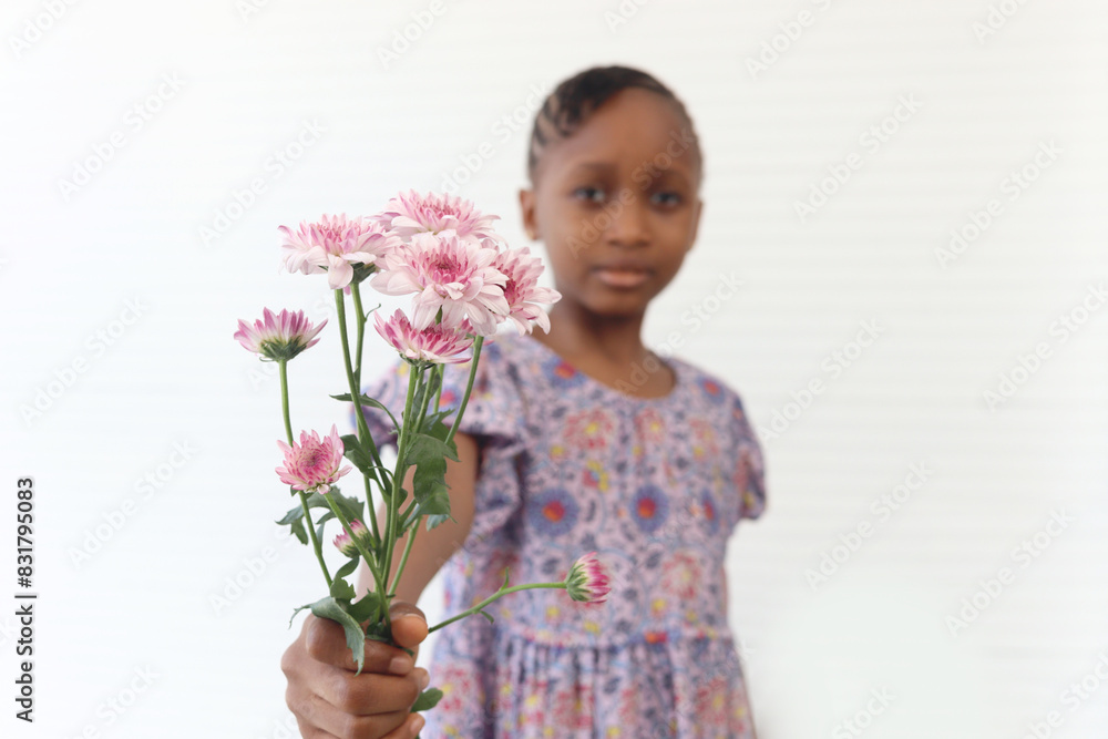 Pink daisy chrysanthemum flower on hand of cute African kid girl with curly hair braid African hairstyle on white wall. Happy smiling kid giving flowers to camera. Pink daisy chrysanthemum flower on hand of cute African kid girl with curly hair braid African hairstyle on white wall. Happy smiling kid giving flowers to camera.