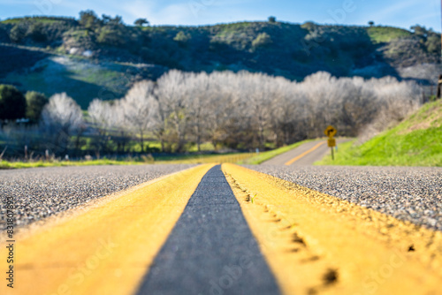 Rolling Hills of Los Olivos