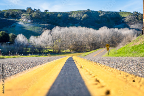 Rolling Hills of Los Olivos