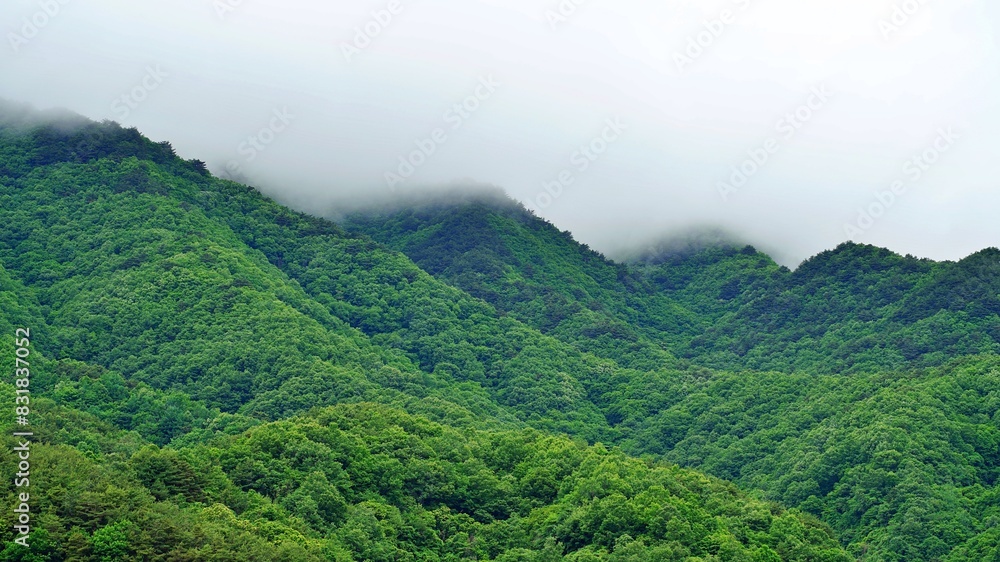 Beautiful summer scenery of Gajisan Mountain in Korea