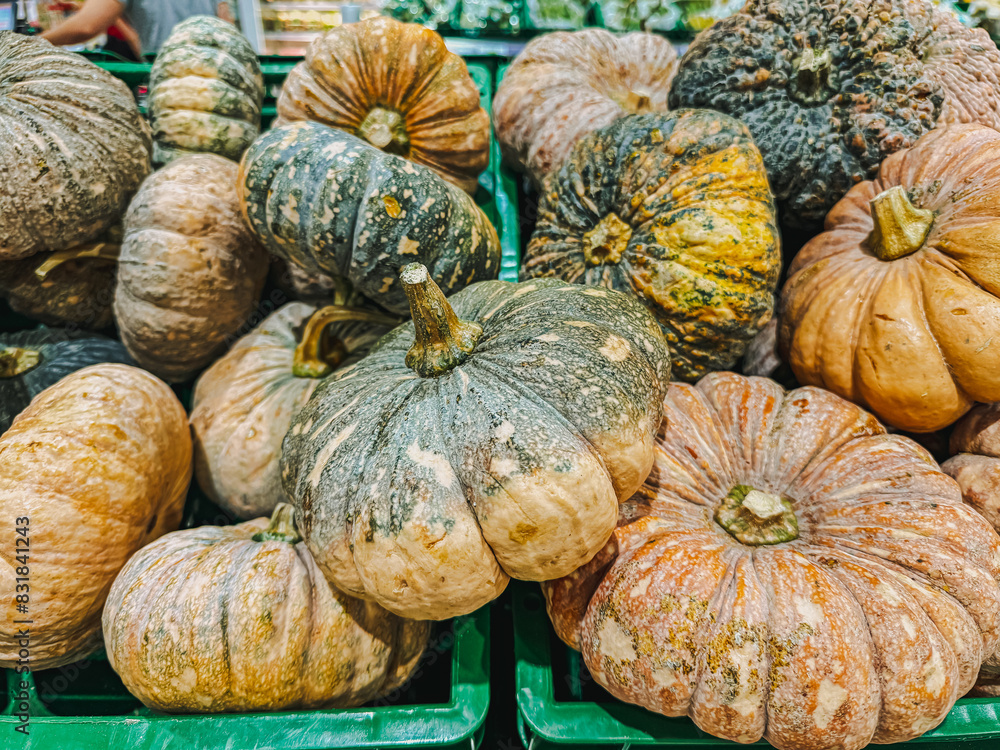 Photo of pumpkins in green basket. Photo of pumpkins in green basket.