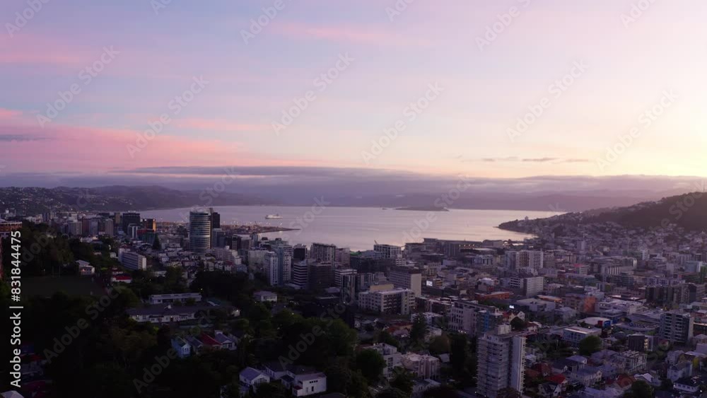 Drone shot of Wellington City and harbour in New Zealand at dawn Drone shot of Wellington City and harbour in New Zealand at dawn
