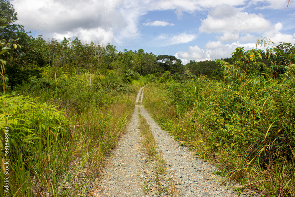 the farm road on village in sumatera, indonesia, sandy or rocky road the farm road on village in sumatera, indonesia, sandy or rocky road