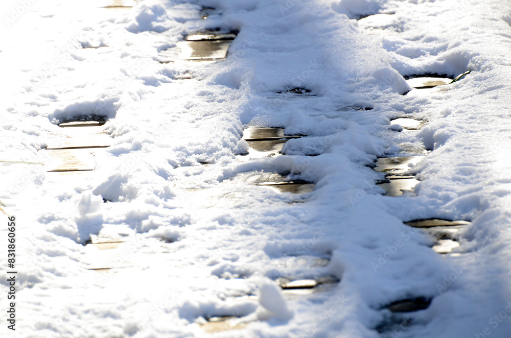 雪の木道 雪の木道
