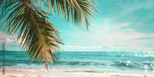 A palm tree is on the beach with the ocean in the background. The palm tree is the main focus of the image, and it gives a sense of relaxation and tranquility photo