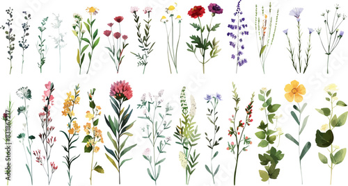 Watercolor floral and wildflowers use by fabric, fashion, wedding invitation, template, poster, romance, greeting, spring, bouquet, pattern, decoration and textile.
