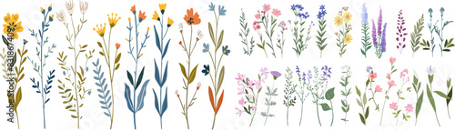 Collection of watercolor wild flowers and leaves with grass. Botanical garden elements set. Watercolor floral vector isolated eps illustration. 