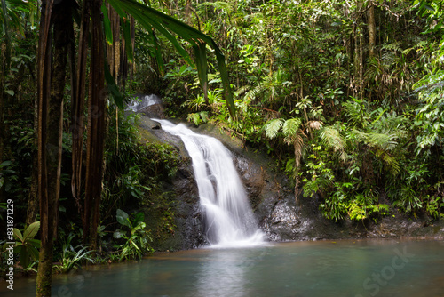 Waterfall cascading into a pool at Colo-i-Suva Forest Reserve in Fiji