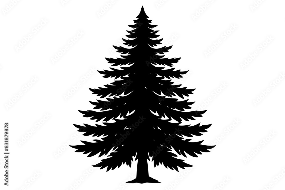 Spruce Tree silhouette vector illustration Spruce Tree silhouette vector illustration