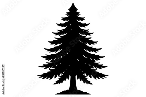 Spruce Tree silhouette vector illustration