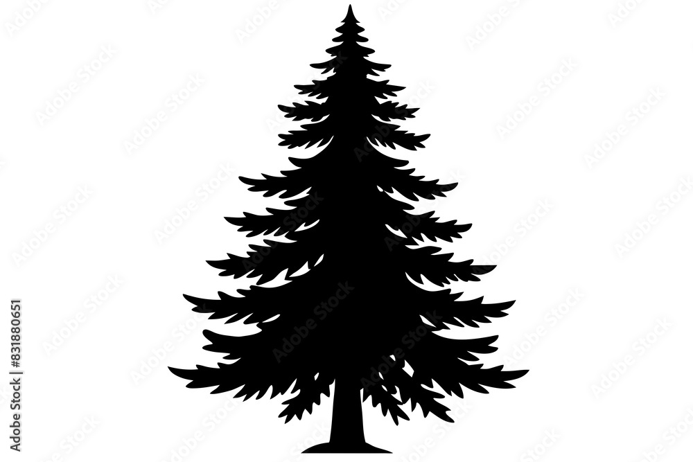 Spruce Tree silhouette vector illustration Spruce Tree silhouette vector illustration