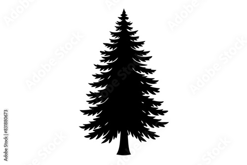 Spruce Tree silhouette vector illustration