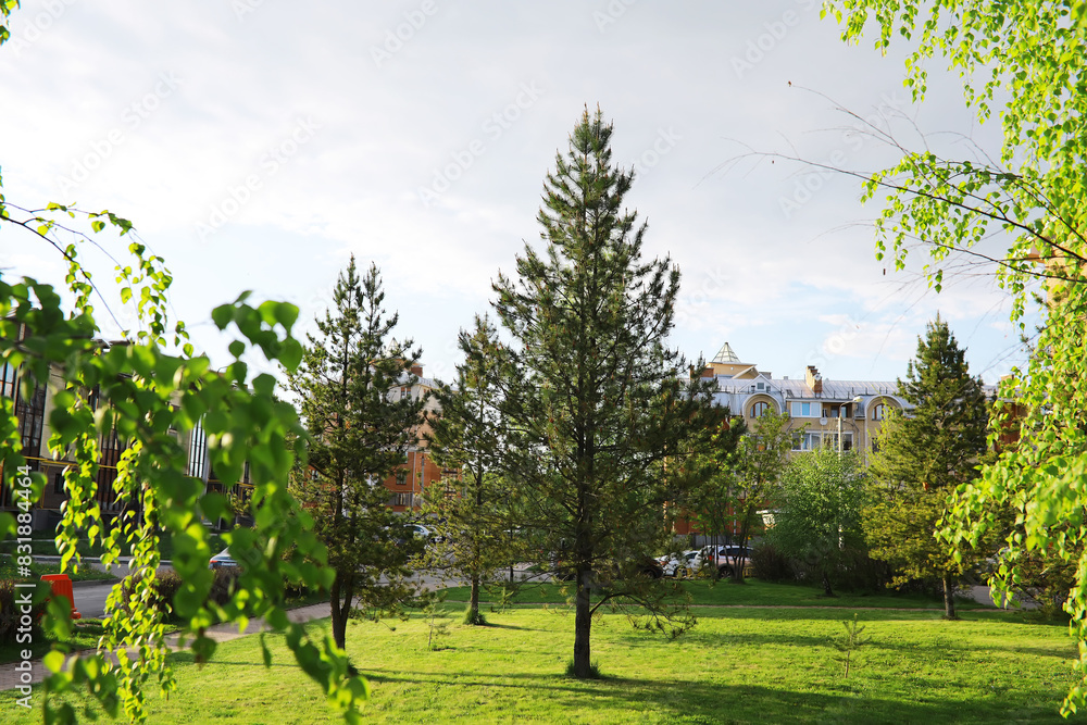 Summer landscape, lush green vegetation and nature. Summer landscape, lush green vegetation and nature.