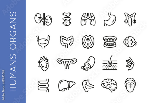 Human organs icons. Set of 20 human organs trendy minimal icons. Example: kidney, spine, lungs, stomach, heart icon. Design signs for web page, mobile app, packaging design. Vector illustration.