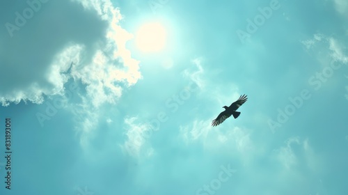 Blue sky with a soaring magpie photo