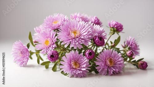 A bouquet of purple flowers with yellow centers and green leaves on a white background.  