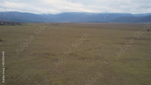 A beautiful landscape drone video of an empty field with a road in Croatia region Lika in Europe (ID: 831905440)