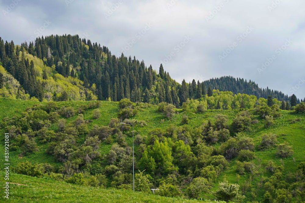 A mountainous area with different trails and vegetation. A mountainous area with different trails and vegetation.