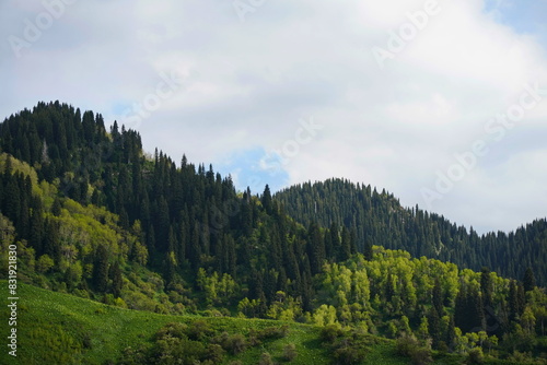 A mountainous area with different trails and vegetation.