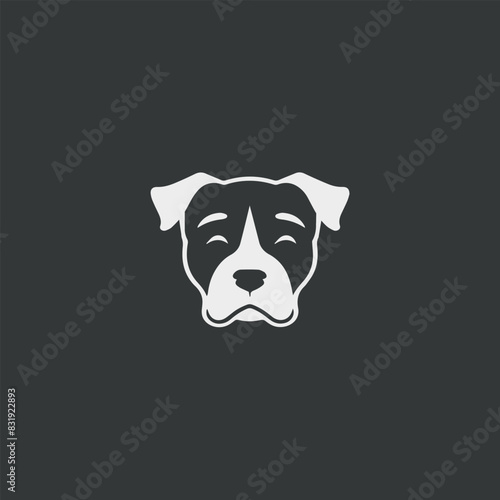 Cabeza de perro raza Pitbull sobre fondo negro photo
