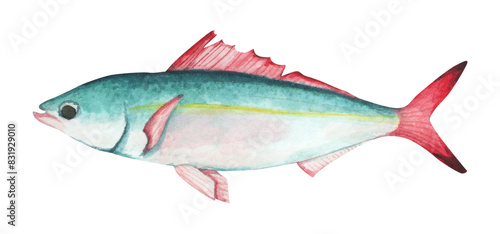 Photography Colorful tropical fish