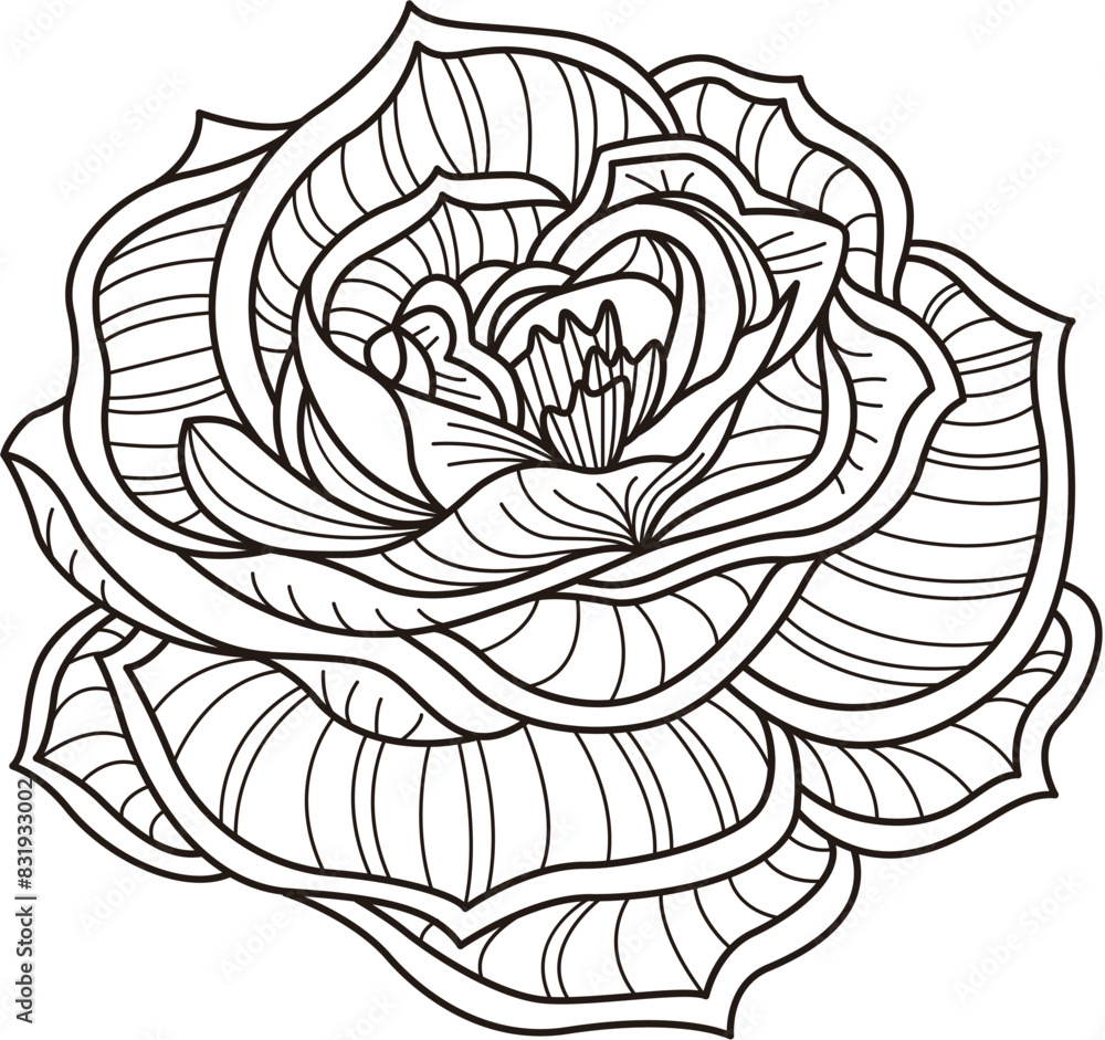Coloring elegant rose