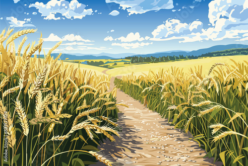 Path through fields of ripe wheat, blue sky. Agriculture. Vector summer landscape