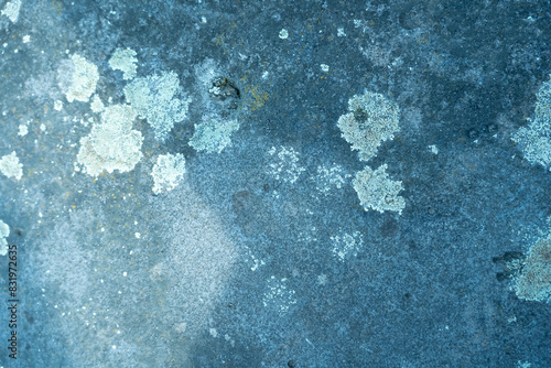 stone background with lichen spots in banner layout