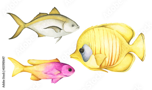 Colorful tropical fish. Aquarium animals .Watercolor illustration tropical fish. Underwater sealife concept.