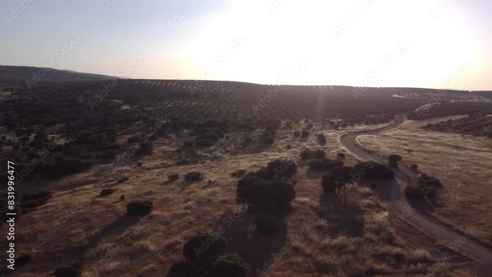 Camino entre el paisaje al atardecer en vista aérea.