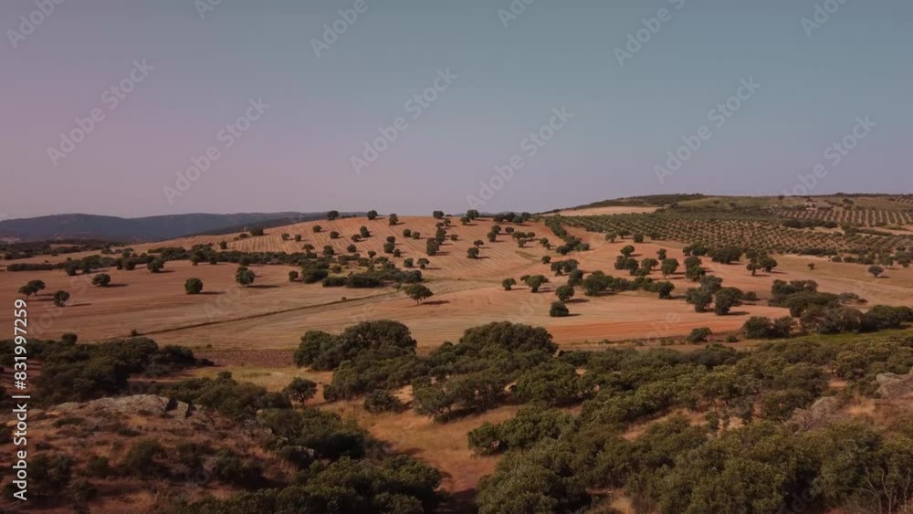 Plano aéreo de dron sobre el campo en el sur. Plano aéreo de dron sobre el campo en el sur.