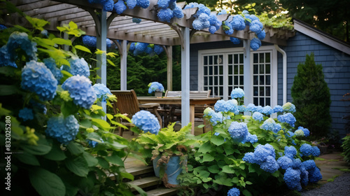 Nicely decorated pergola with pots and blue hydra