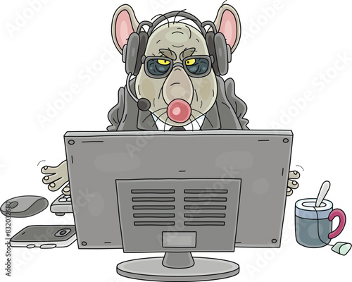 Angry secret intelligence agent Rat with headphones sitting in front of a computer, spying online, monitoring Internet users, listening to phones and reading messages, vector cartoon illustration