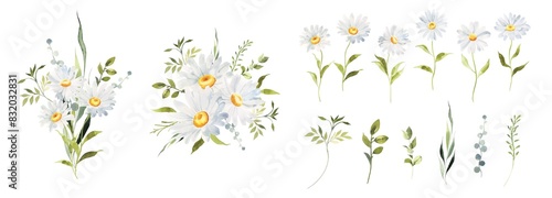 Watercolor Daisy floral illustration, Chamomile spring flowers clipart, Wildflower arrangement and summer wreath, Wedding invitations