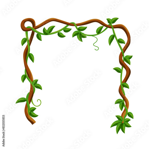 Liana jungle frame. Rainforest liana wild greenery. Cartoon plant, creeper branch. Grass and wood leaf sign. Botany texture. Vector forest game element