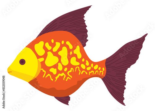 Aquarium fish. Beautiful underwater character. Decorative colored freshwater fish in flat cartoon design. Vector illustration, isolated animal on white