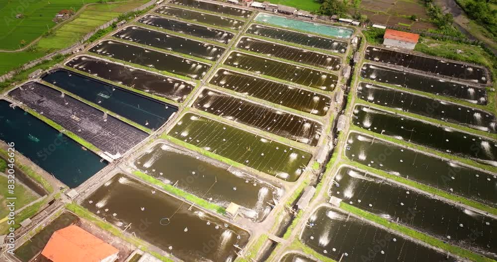 High angle drone arc view over aerated shrimp farming ponds, Bali aquaculture High angle drone arc view over aerated shrimp farming ponds, Bali aquaculture