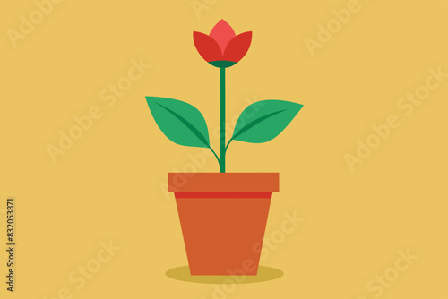 flower in a pot