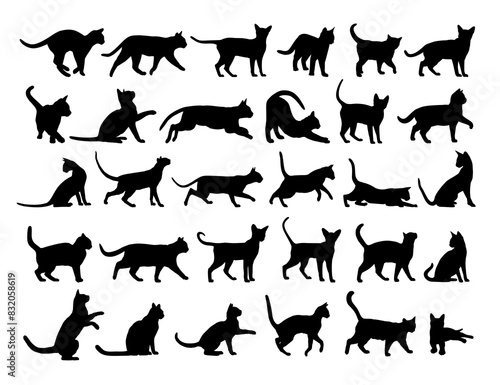 The big set of silhouettes domestic cats.