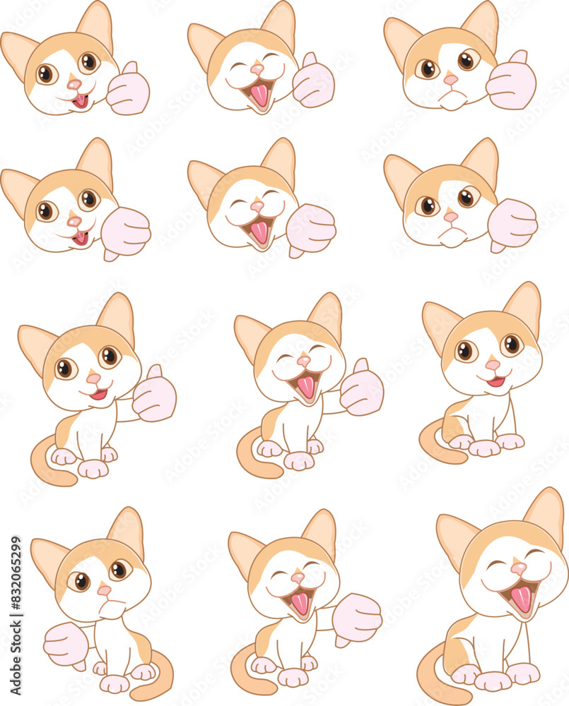 Fototapeta premium cat in out