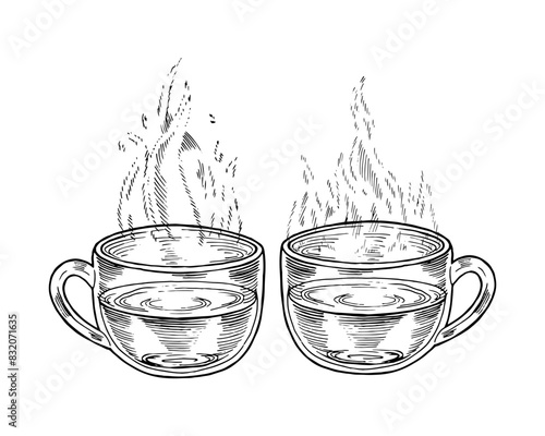 Two glass Cups with hot Tea. Vector outline illustration. Drink in transparent mug sketch drawing. Water with steam black line art. Clipart for vintage prints and logos of coffee shops and cafes